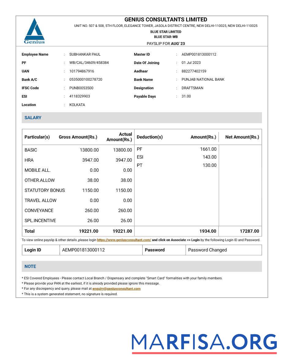 Blank Genius Consultants payslip example